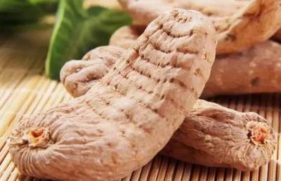 天麻烘焙技術(shù),烘焙天麻的正確方法