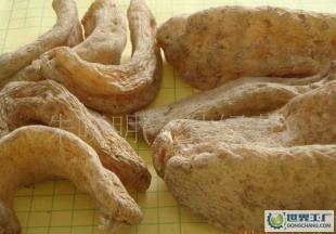 供應產地直供深山優質出口級干天麻!_醫藥、保養_世界工廠網中國產品信息庫