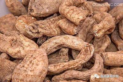 康縣農特產品推介會即將盛大開幕,期待您的參與