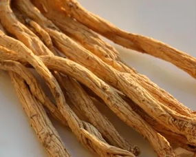 即墨古城年味濃 趕年集購隴南天麻，賞白馬人歌舞迎新春