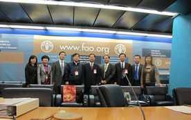 技術(shù)推廣服務(wù)中心 驅(qū)動創(chuàng)新與產(chǎn)業(yè)升級的核心引擎