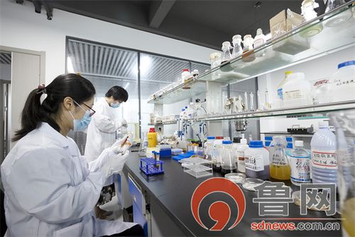 科技賦能農業 煙臺固特麗生物科技股份在基層農技推廣與鄉村建設中的計算機系統服務實踐